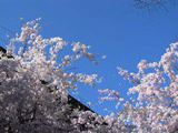 今日の笑顔